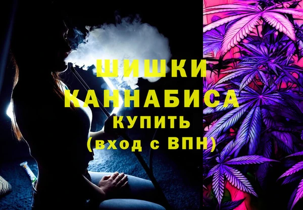 spice Аркадак